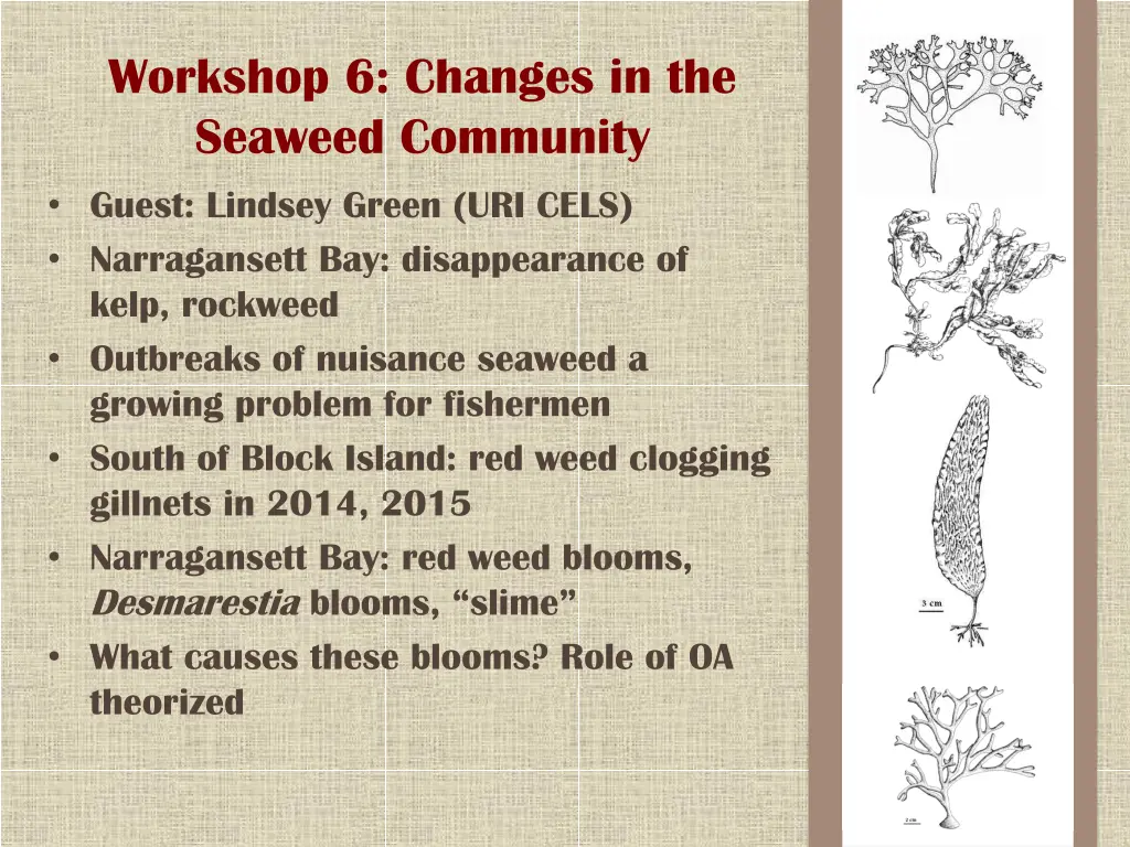 workshop 6 changes in the seaweed community