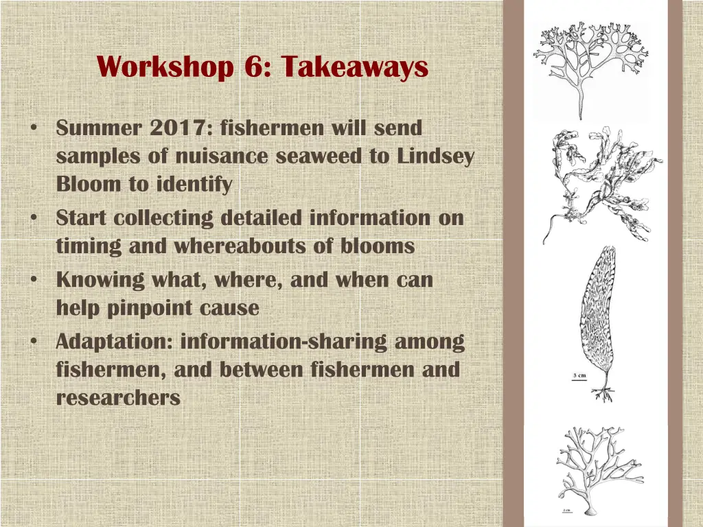 workshop 6 takeaways