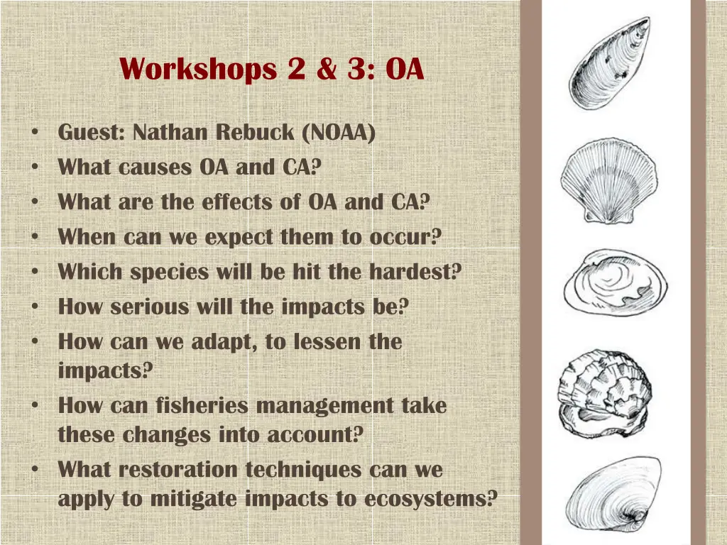 workshops 2 3 oa