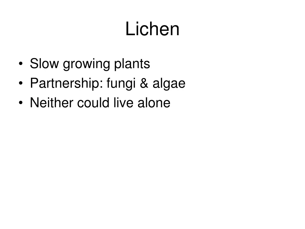 lichen