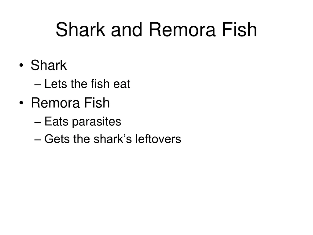 shark and remora fish