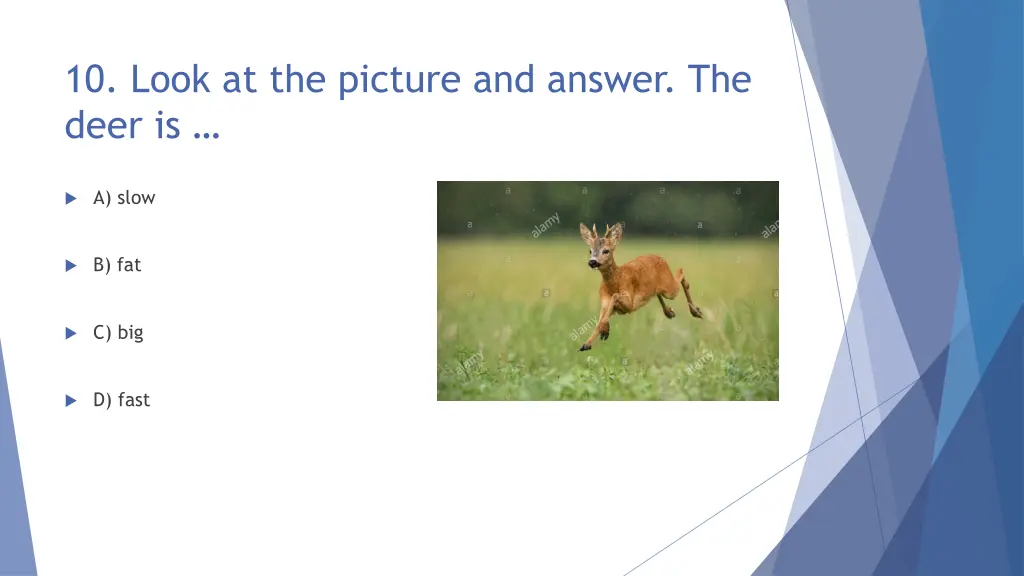 10 look at the picture and answer the deer is