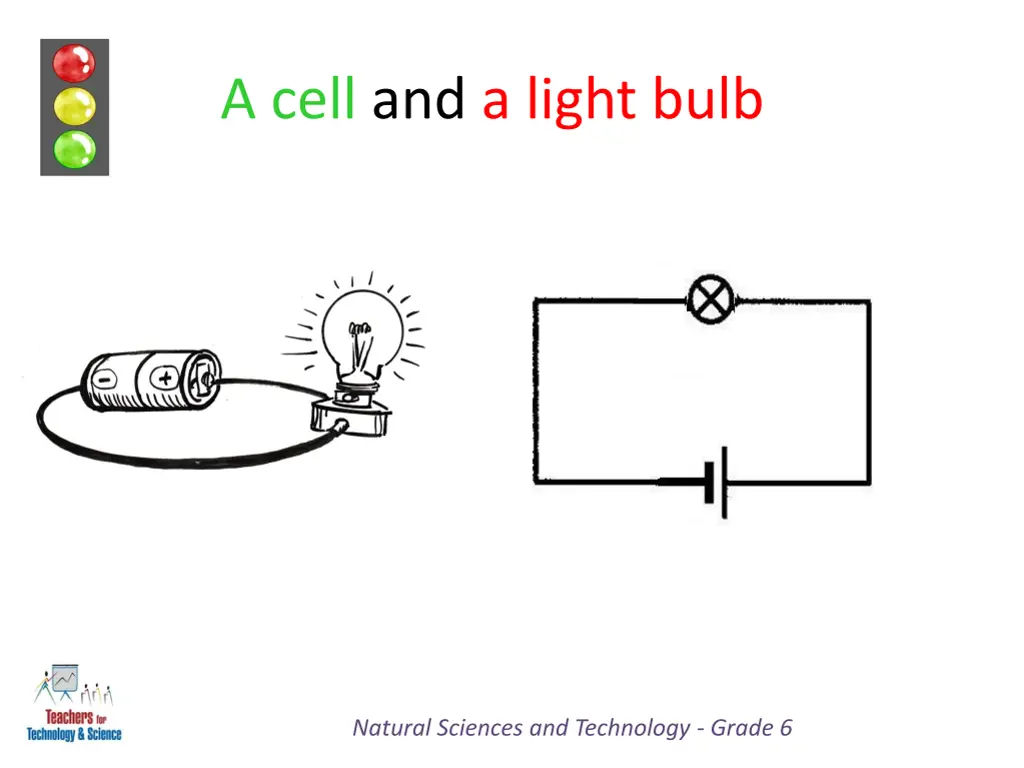 a cell and a light bulb