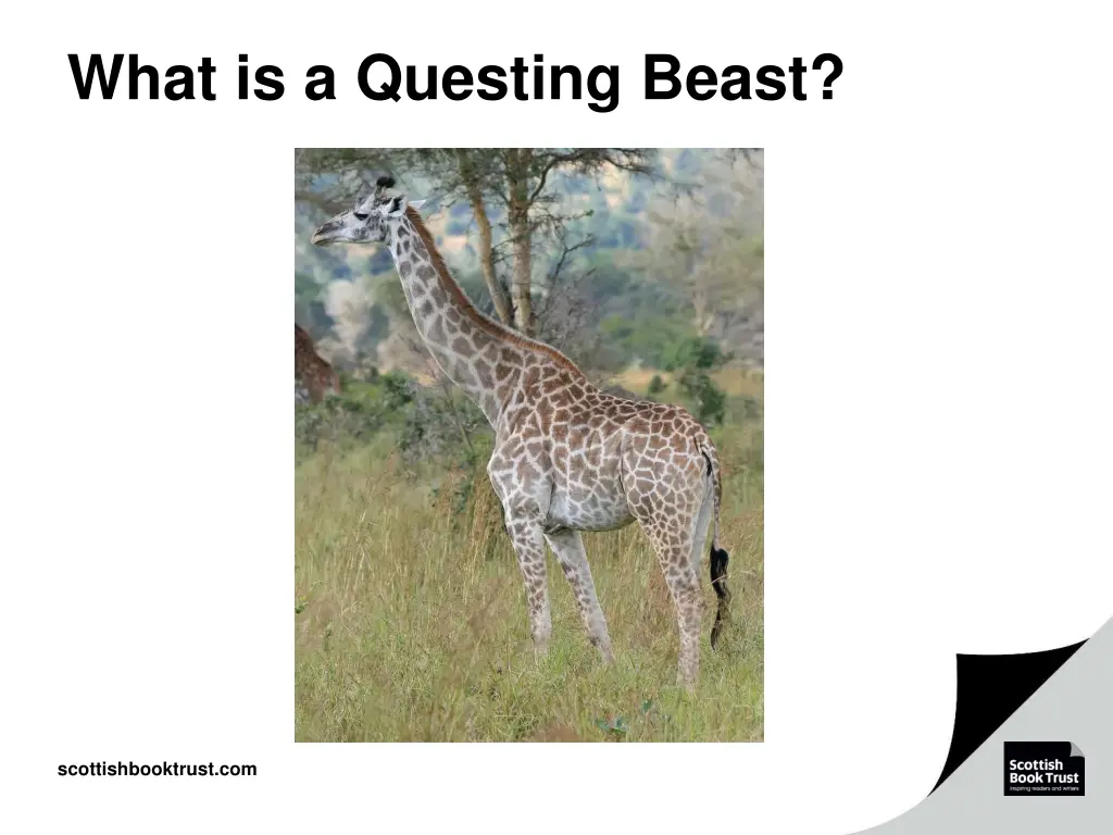 what is a questing beast
