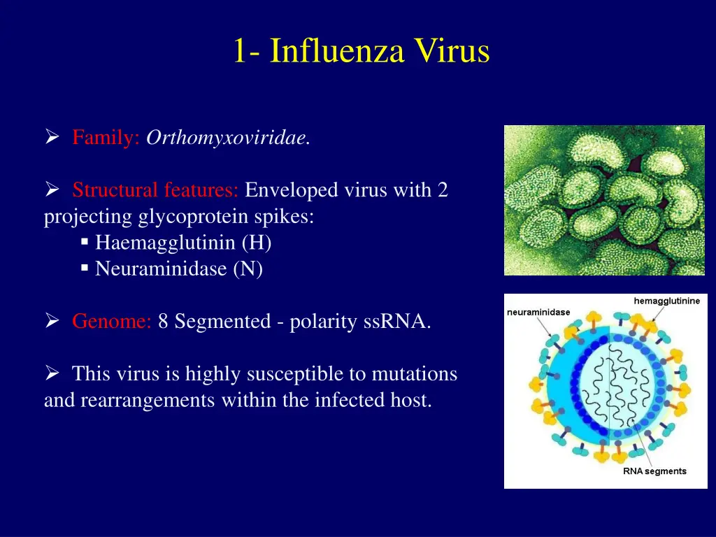 1 influenza virus