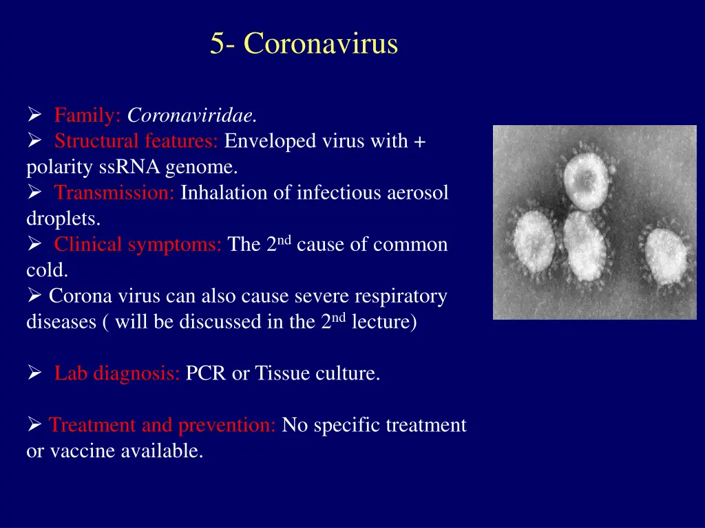 5 coronavirus