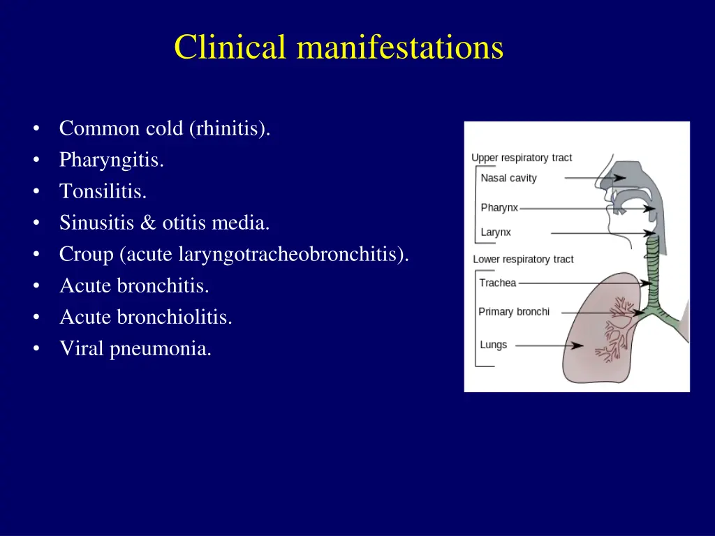 clinical manifestations