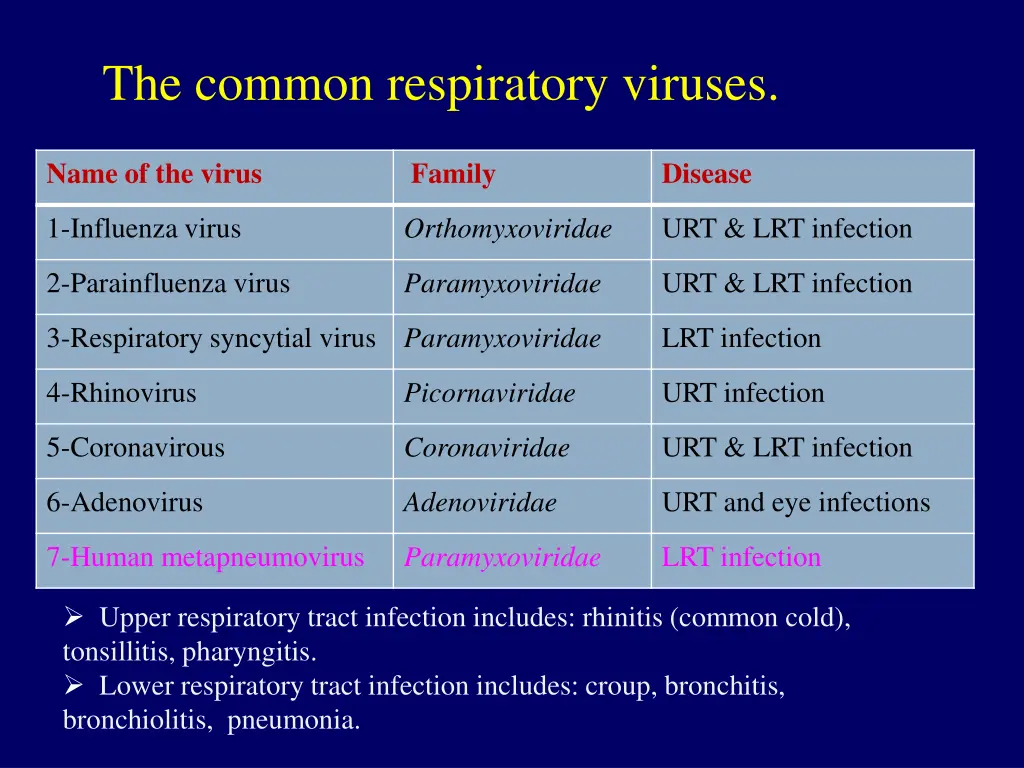 the common respiratory viruses