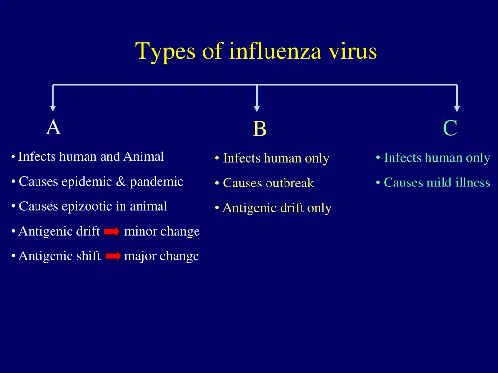 types of influenza virus