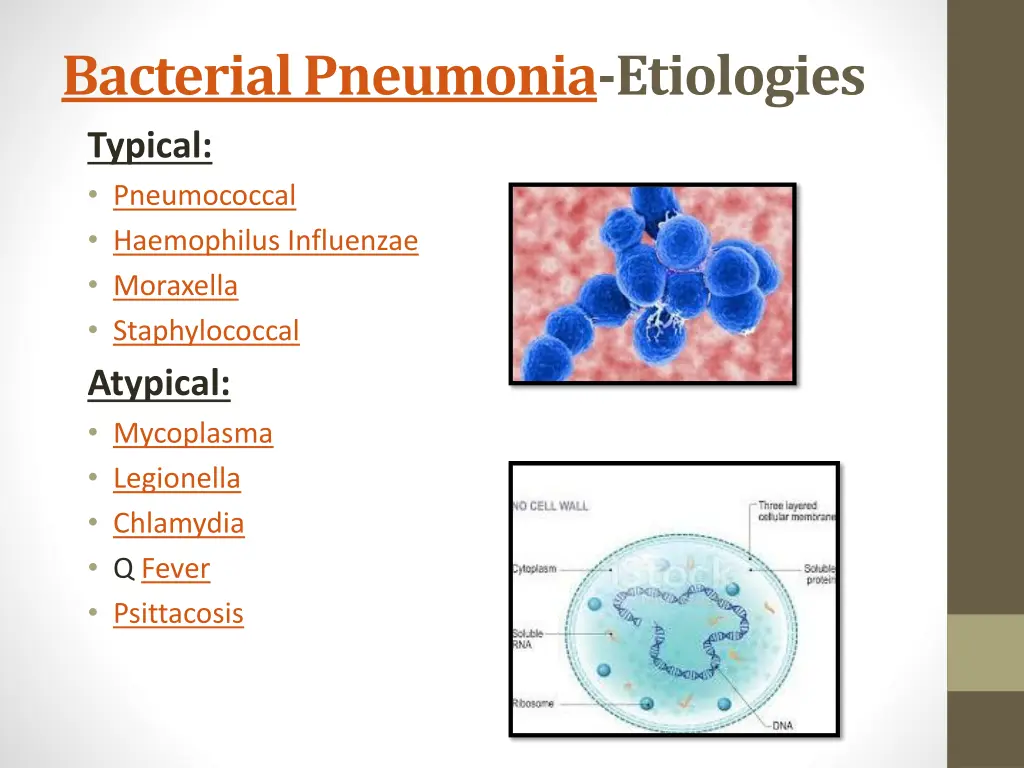 bacterial pneumonia etiologies