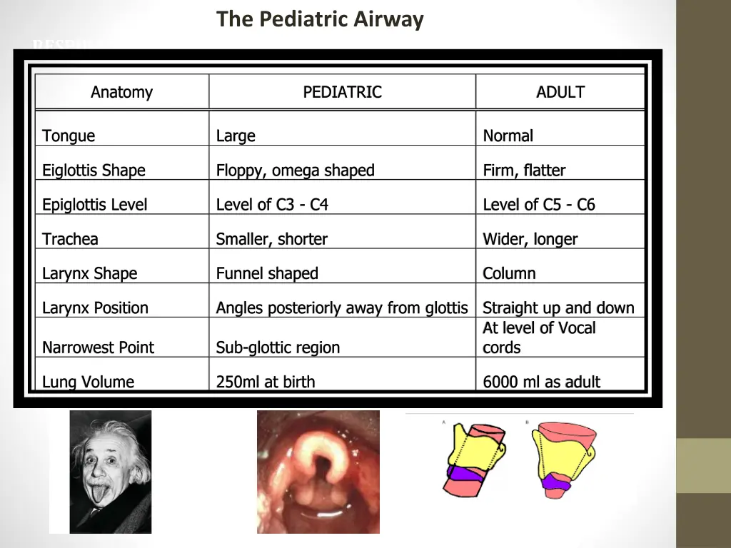 pediatric airway respiratory physiology s kache md