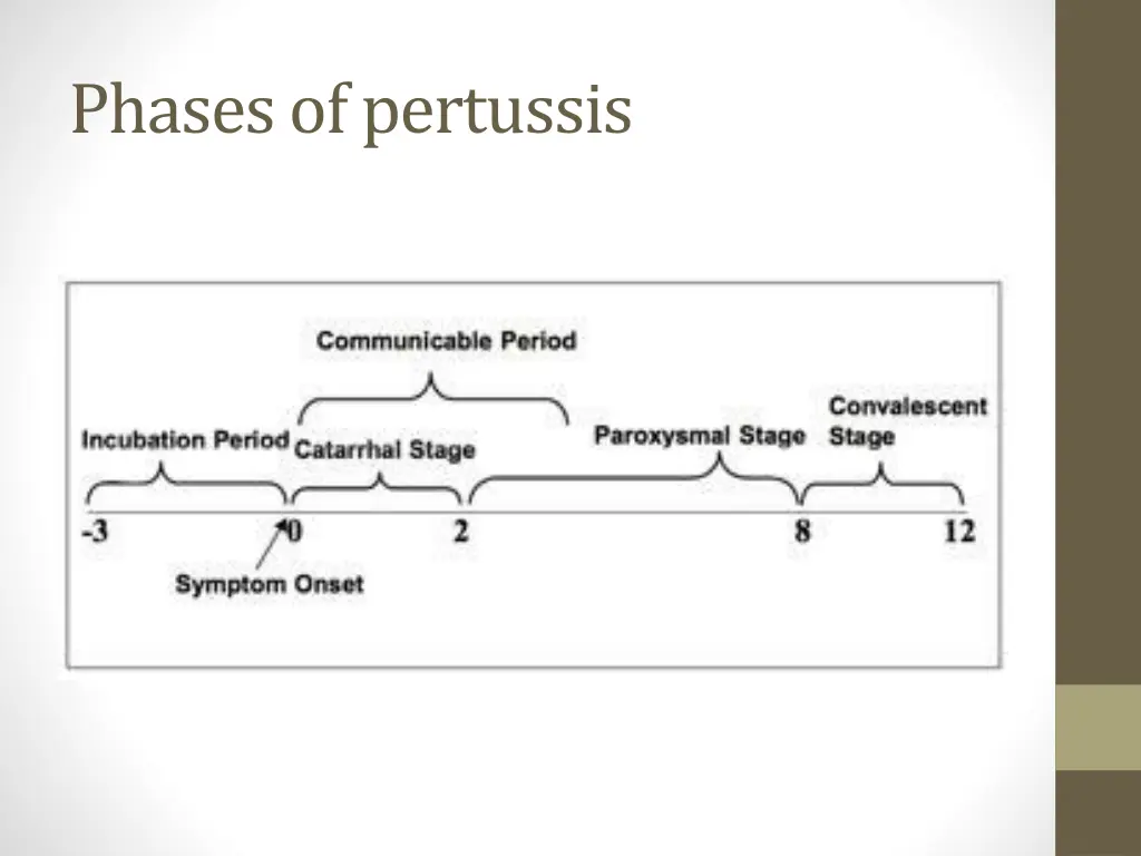 phases of pertussis