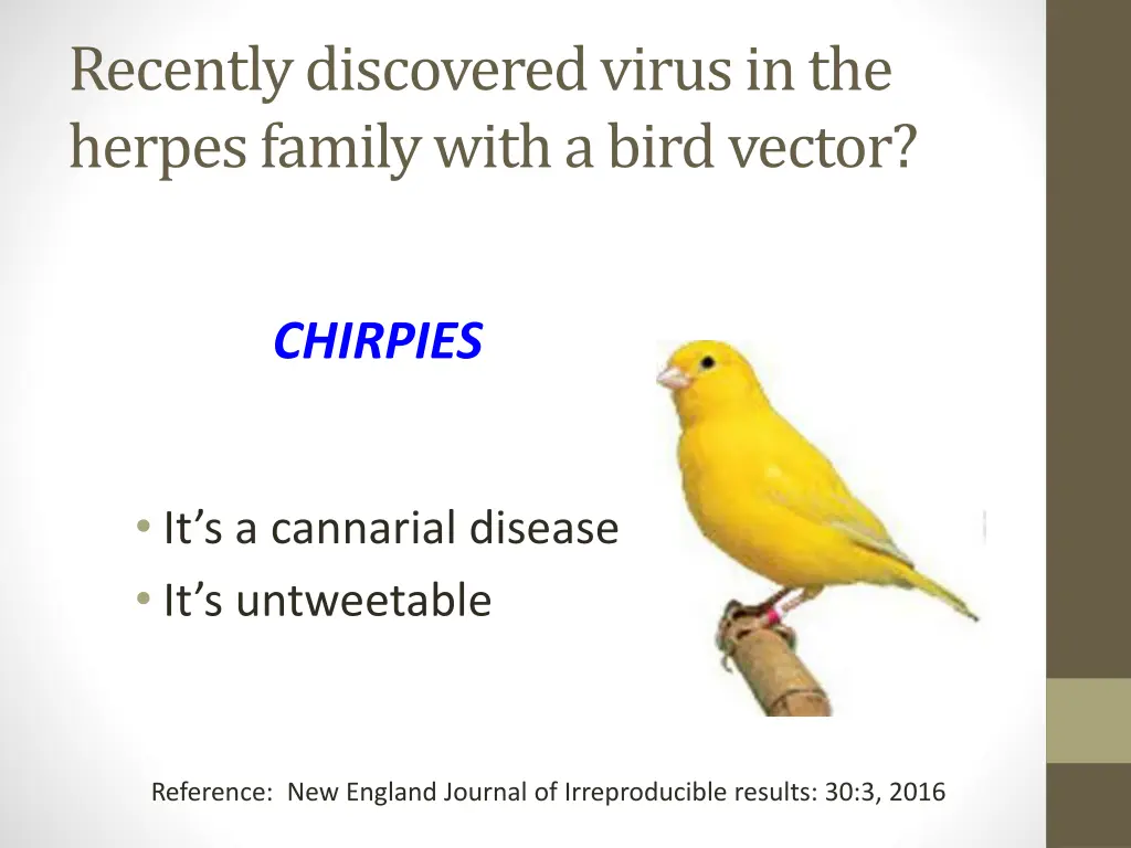 recently discovered virus in the herpes family