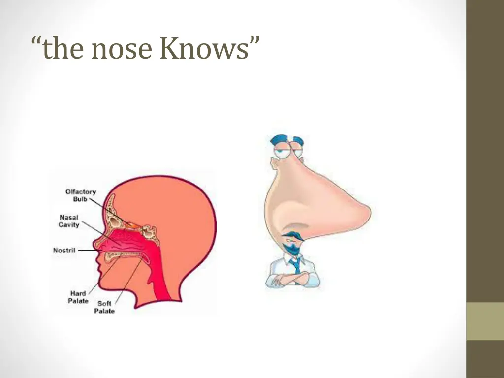 the nose knows