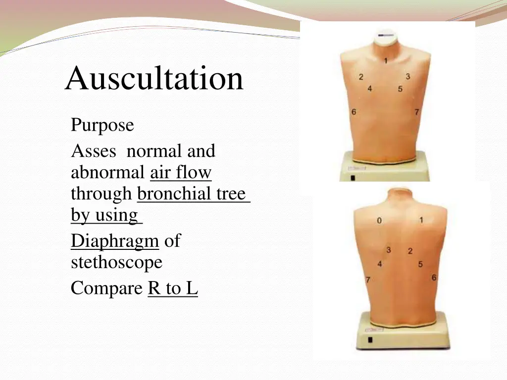 auscultation