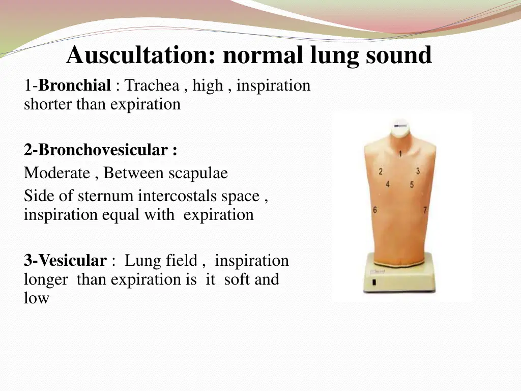 auscultation normal lung sound 1 bronchial