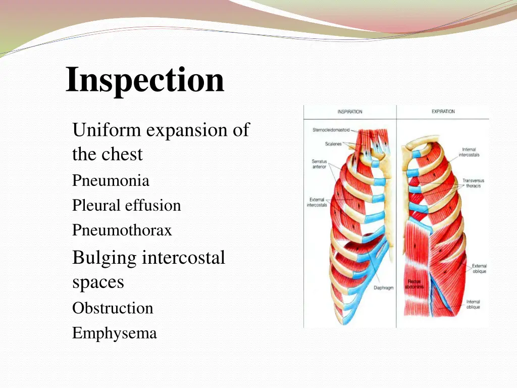 inspection 6