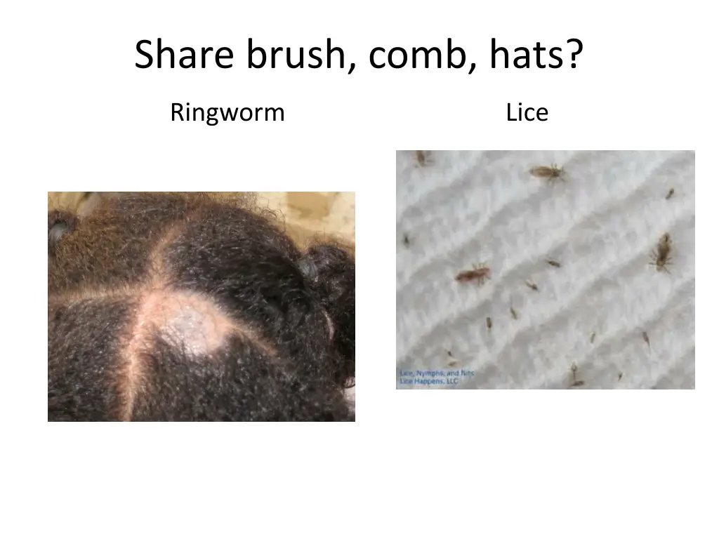 share brush comb hats