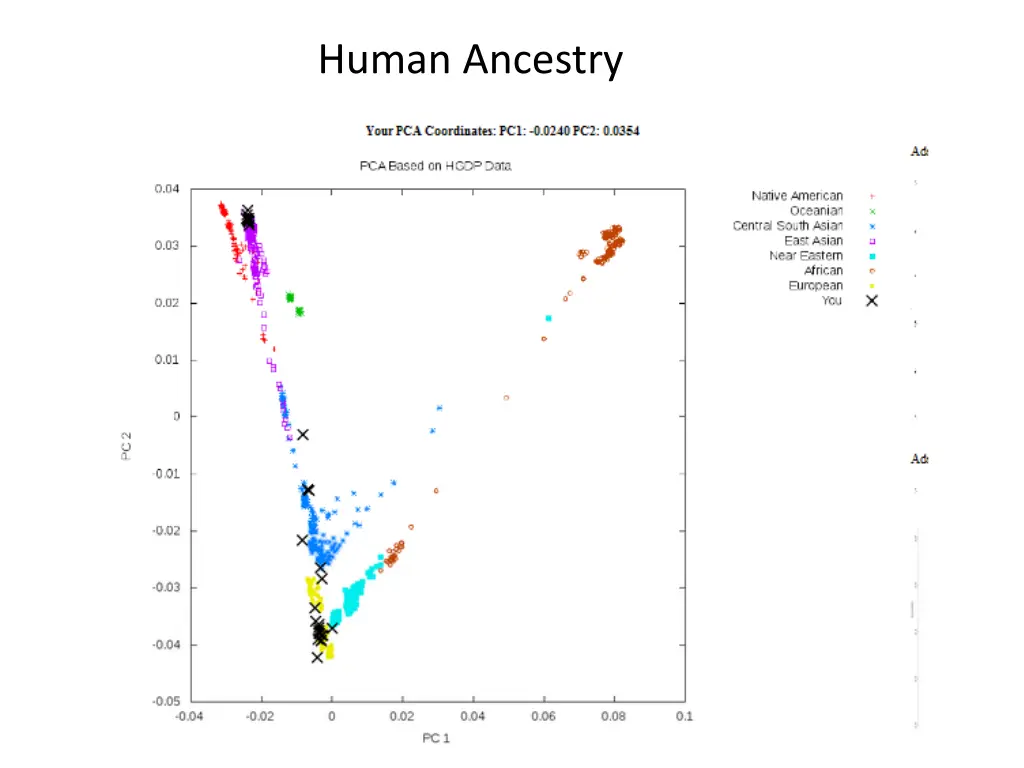 human ancestry