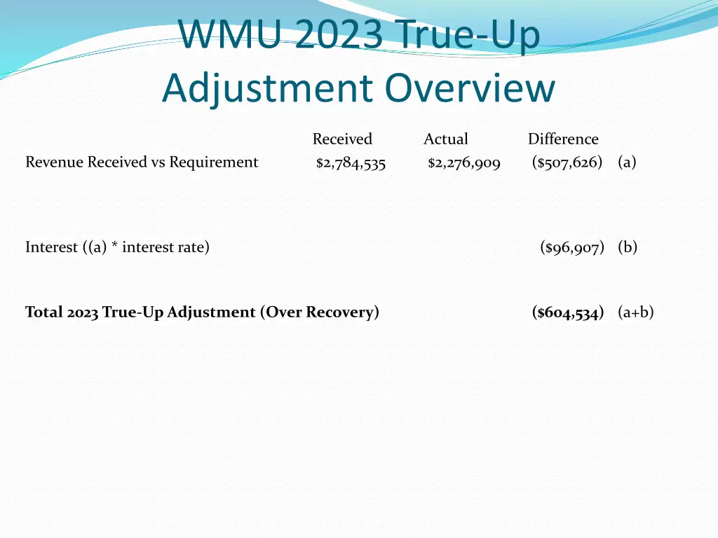 wmu 2023 true up adjustment overview