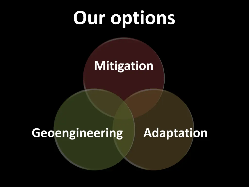 our options