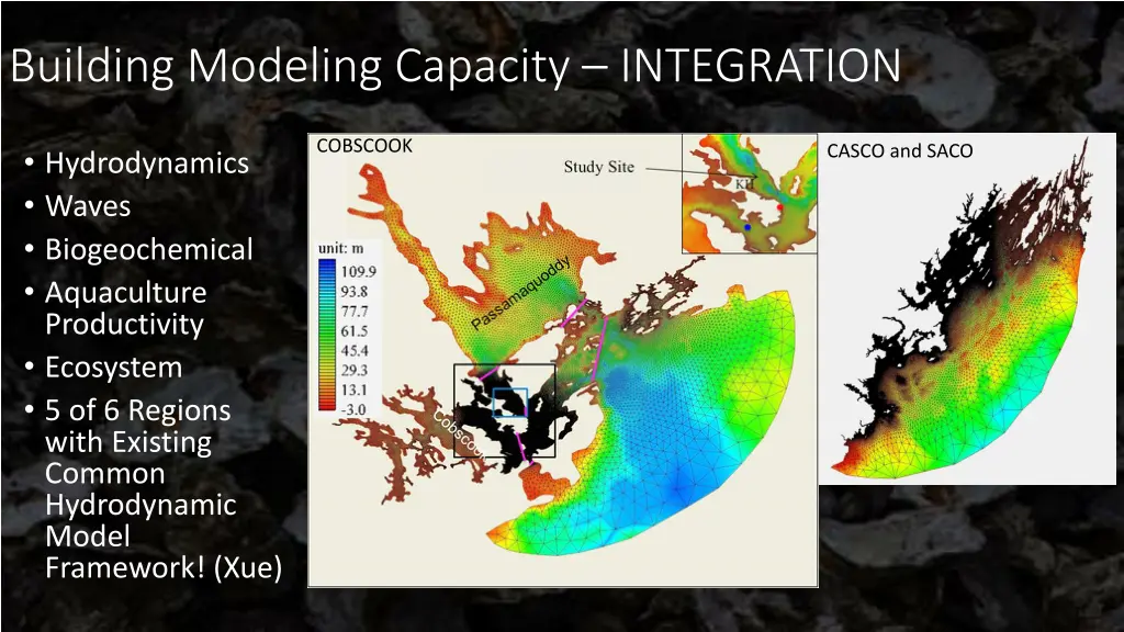 building modeling capacity integration