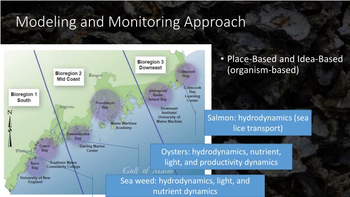 modeling and monitoring approach