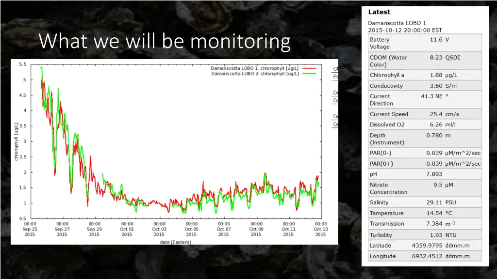 what we will be monitoring