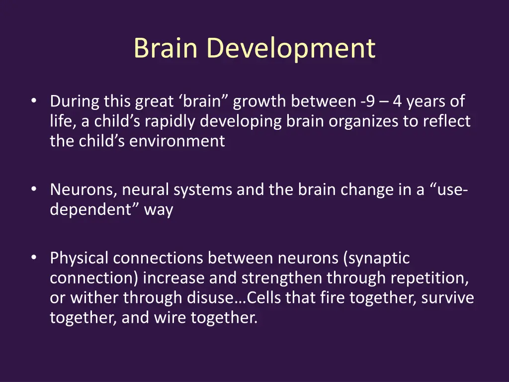 brain development 1