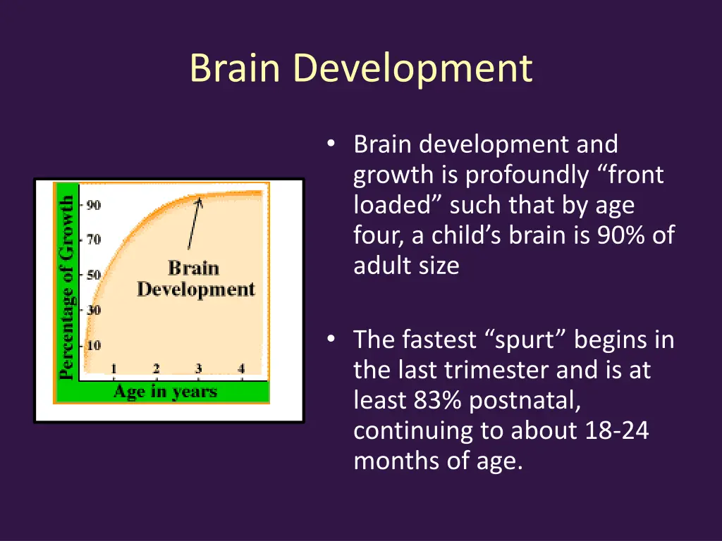 brain development