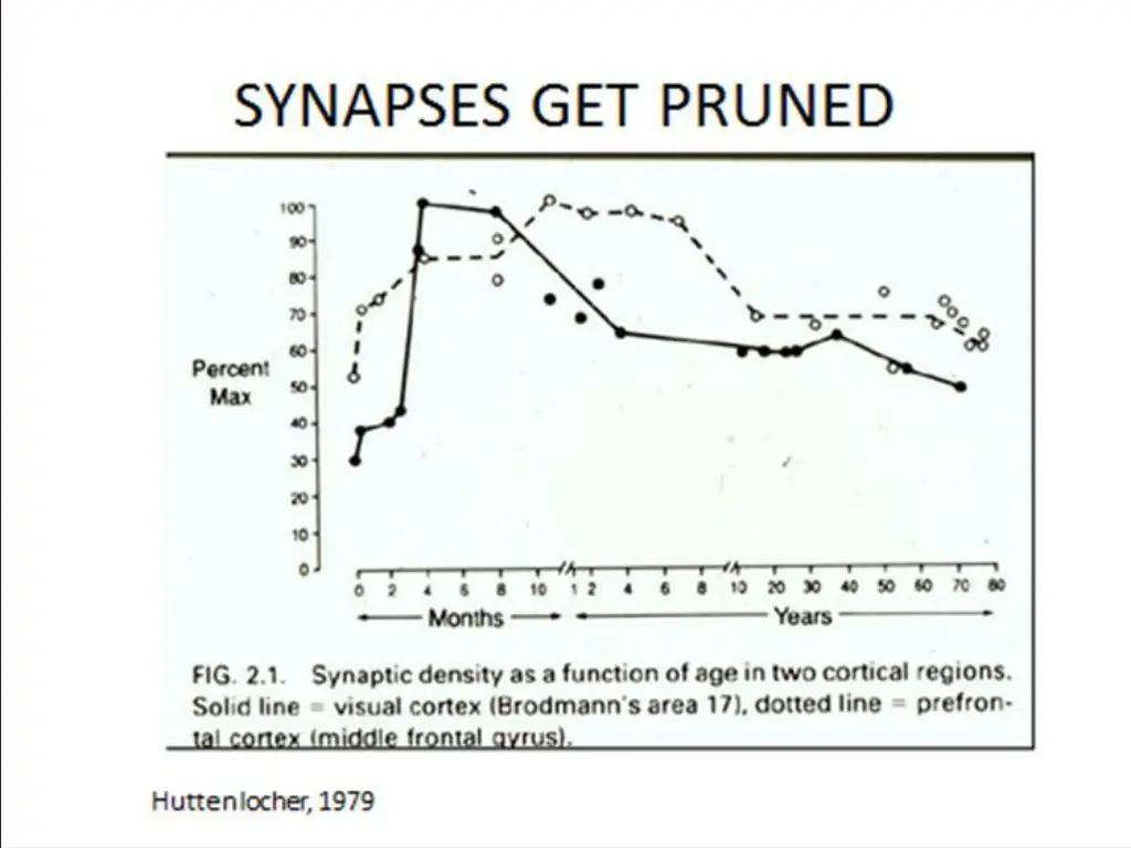 slide12