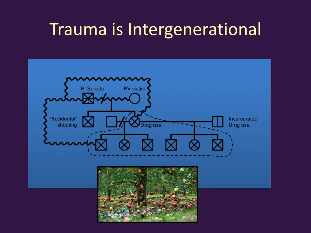 trauma is intergenerational