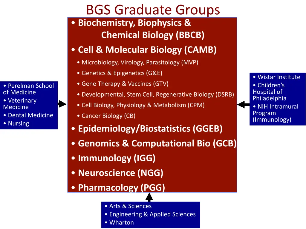 bgs graduate groups biochemistry biophysics