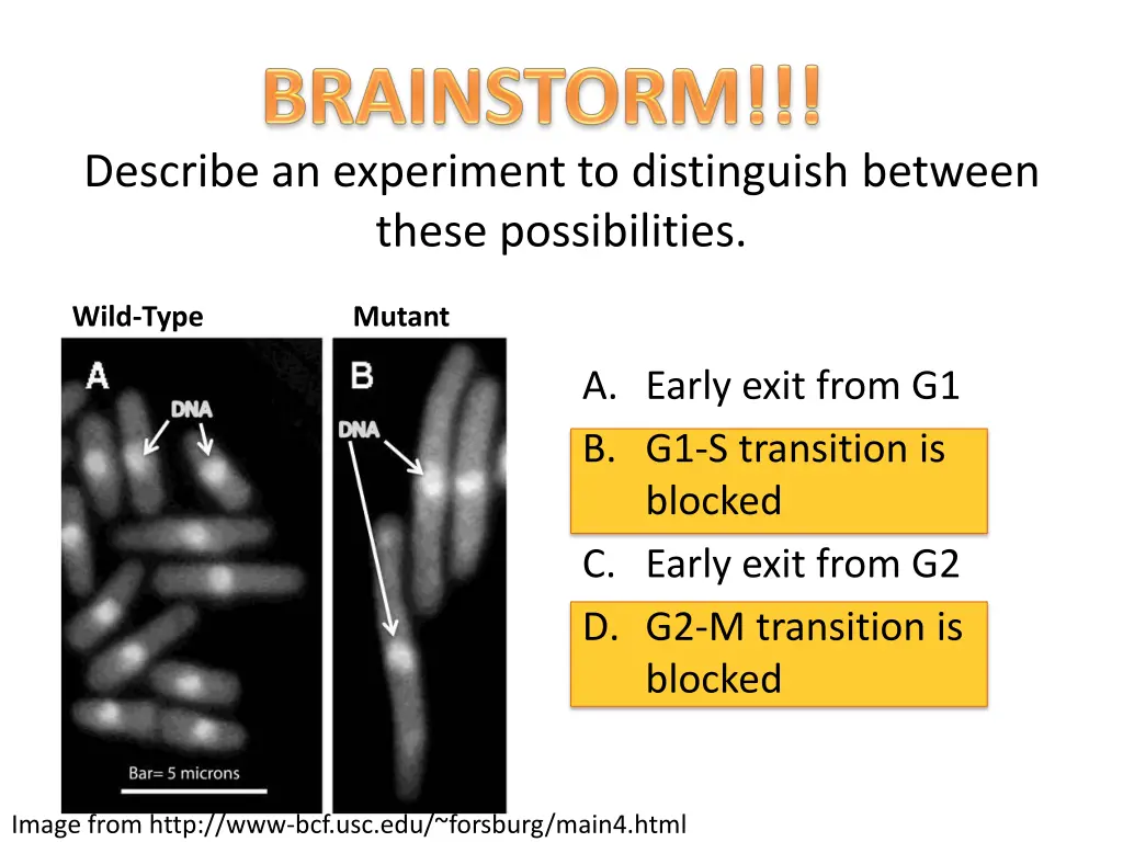 describe an experiment to distinguish between