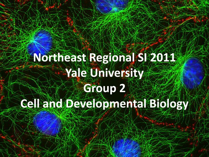 northeast regional si 2011 yale university group