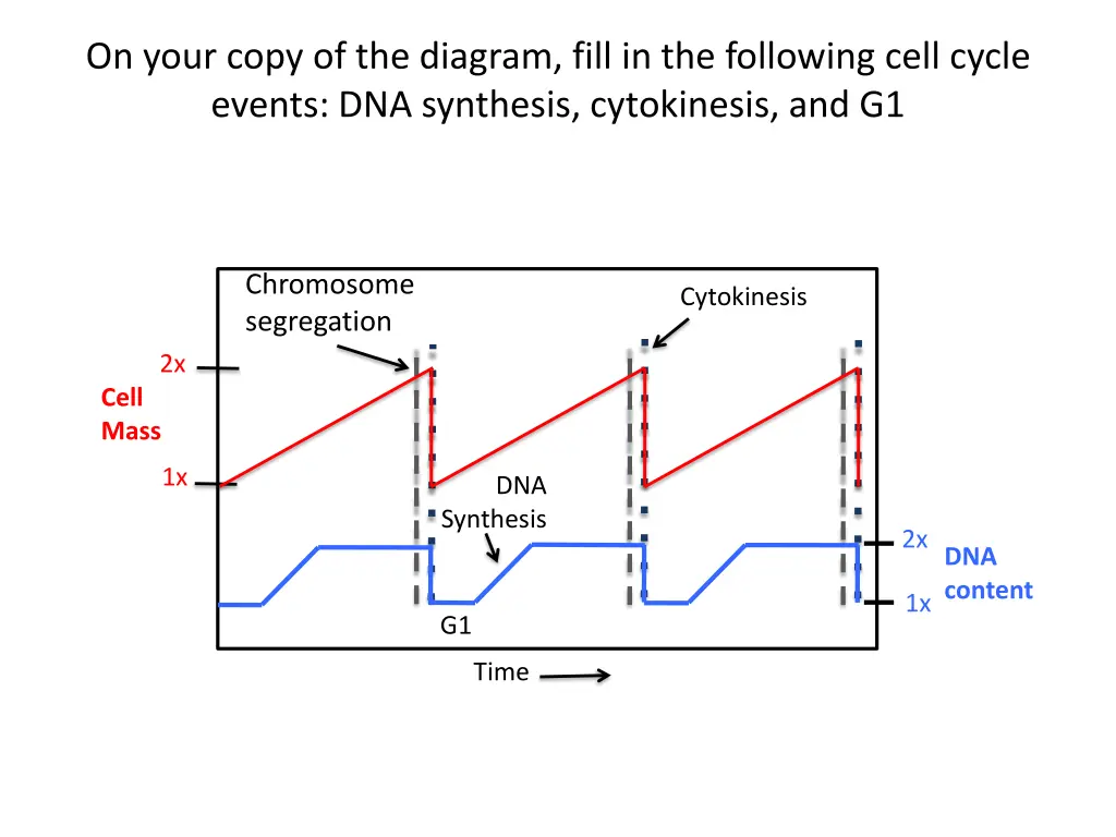 on your copy of the diagram fill in the following