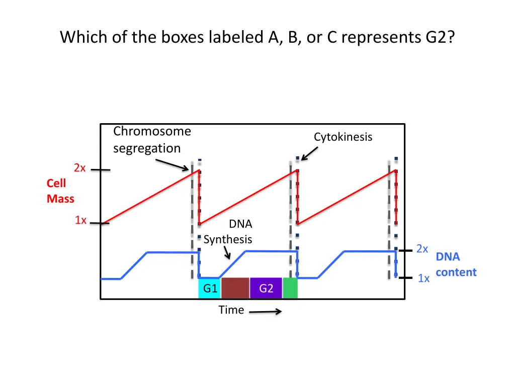 which of the boxes labeled a b or c represents g2 1