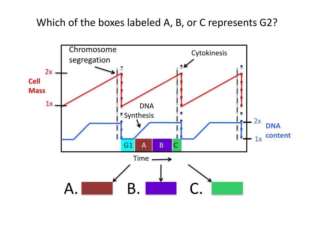 which of the boxes labeled a b or c represents g2