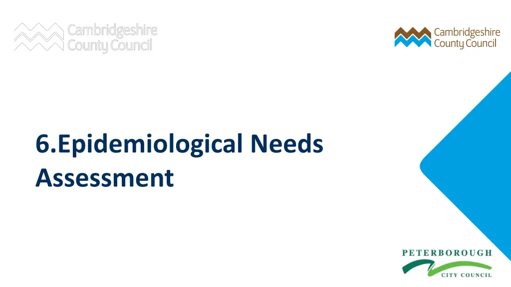 6 epidemiological needs assessment