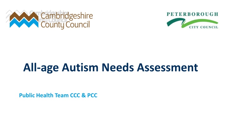 all age autism needs assessment