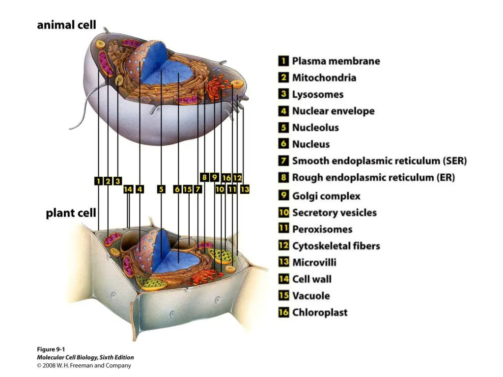 slide7