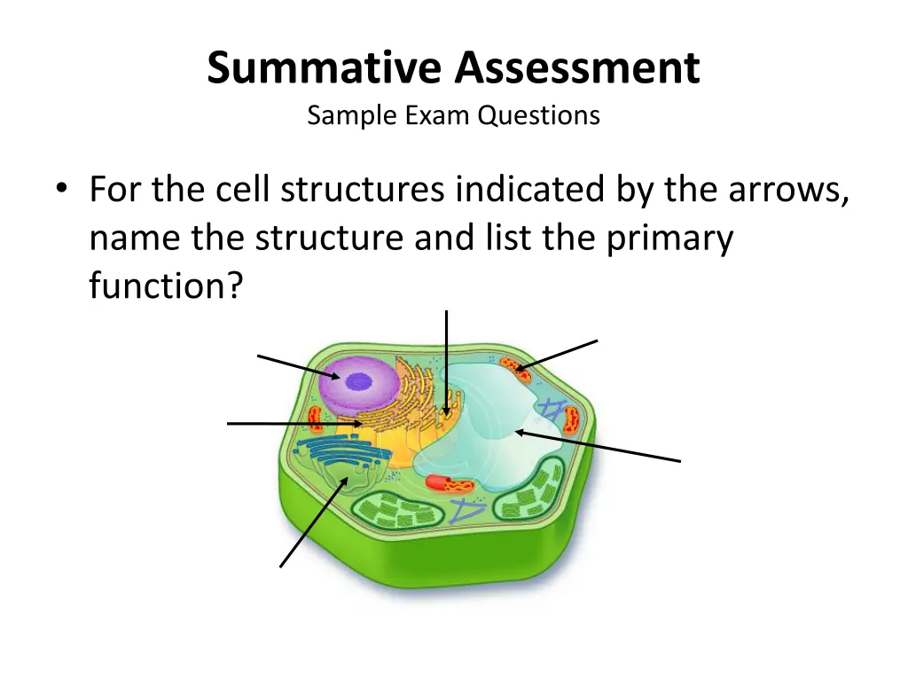 summative assessment sample exam questions 1