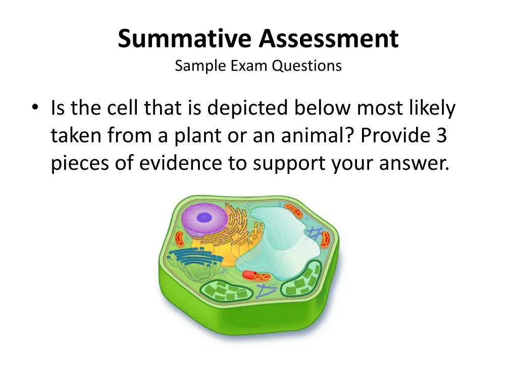 summative assessment sample exam questions