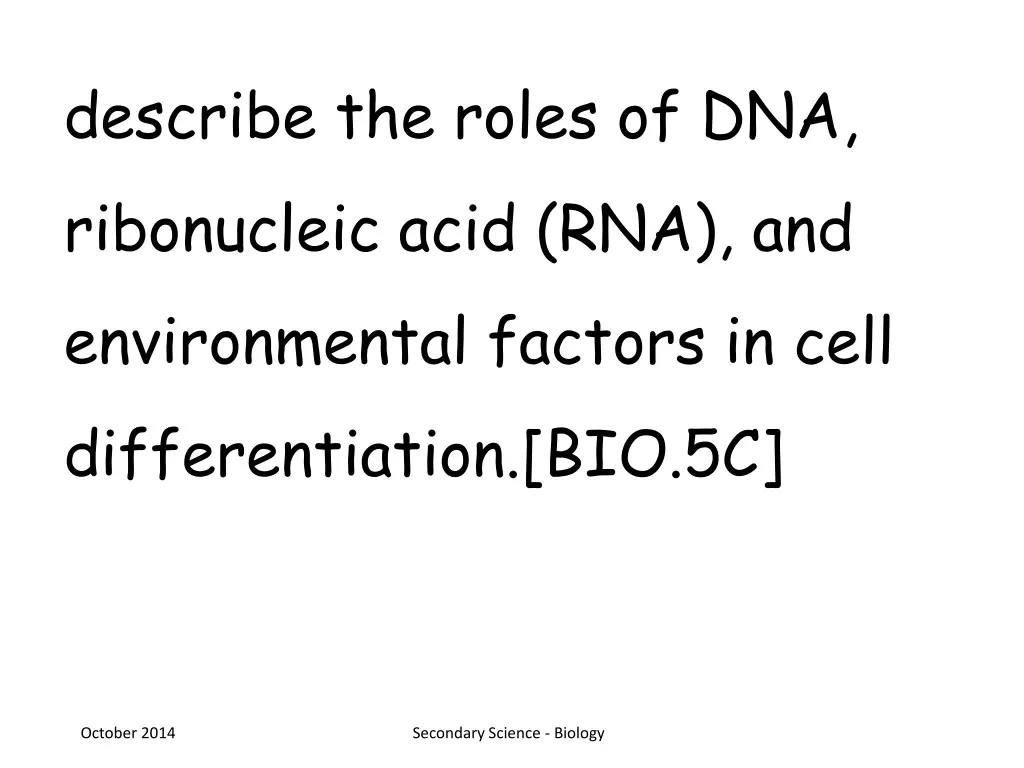 describe the roles of dna ribonucleic acid