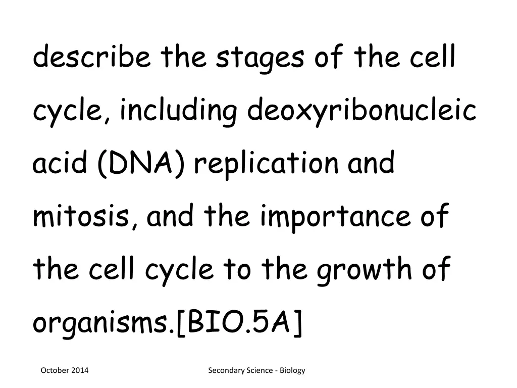 describe the stages of the cell cycle including