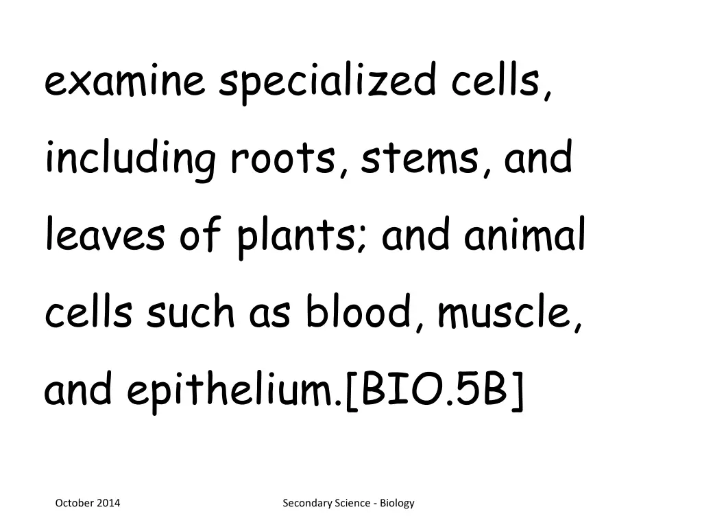 examine specialized cells including roots stems