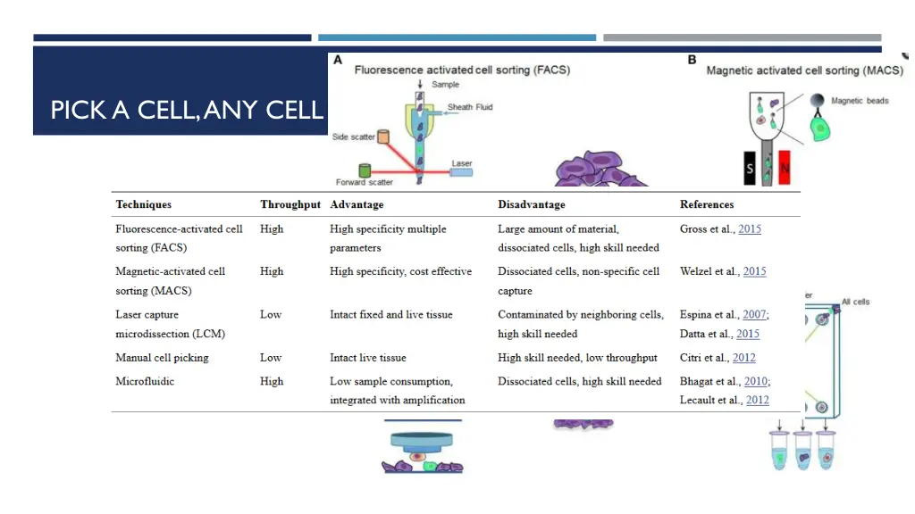 pick a cell any cell 1