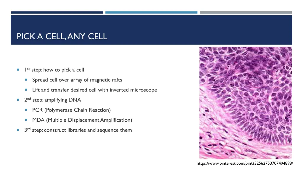 pick a cell any cell