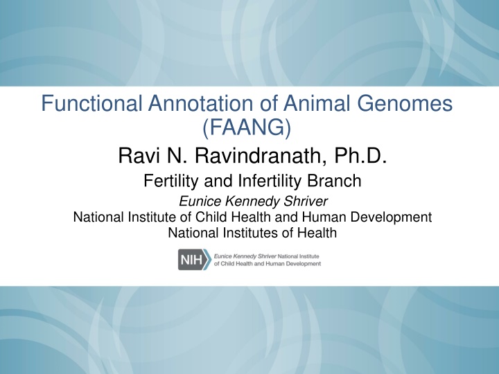 functional annotation of animal genomes faang