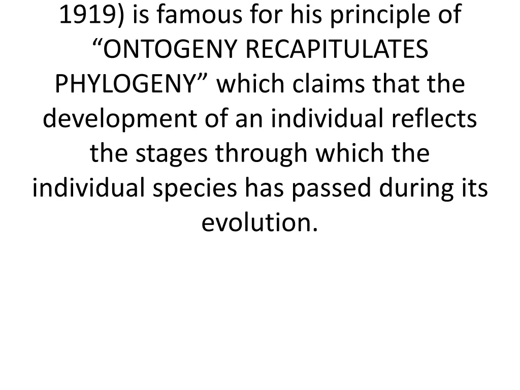 1919 is famous for his principle of ontogeny